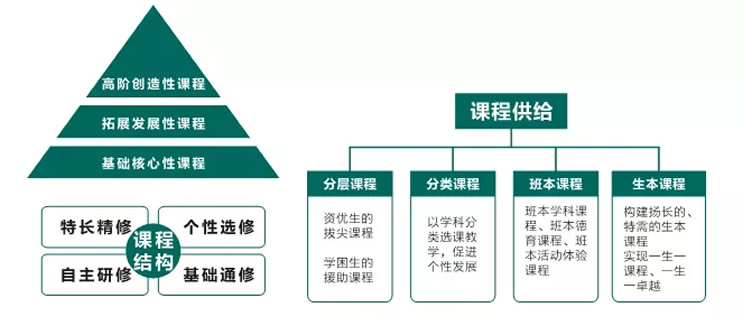 东辰教育集团核心课程支撑