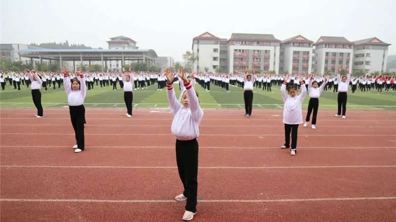 遂宁东辰荣兴国际学校图片展示